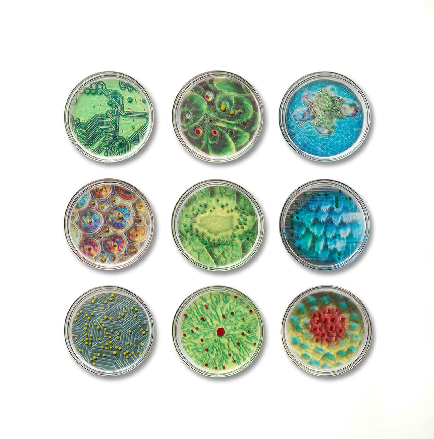 1GardeningInTheAnthropocene