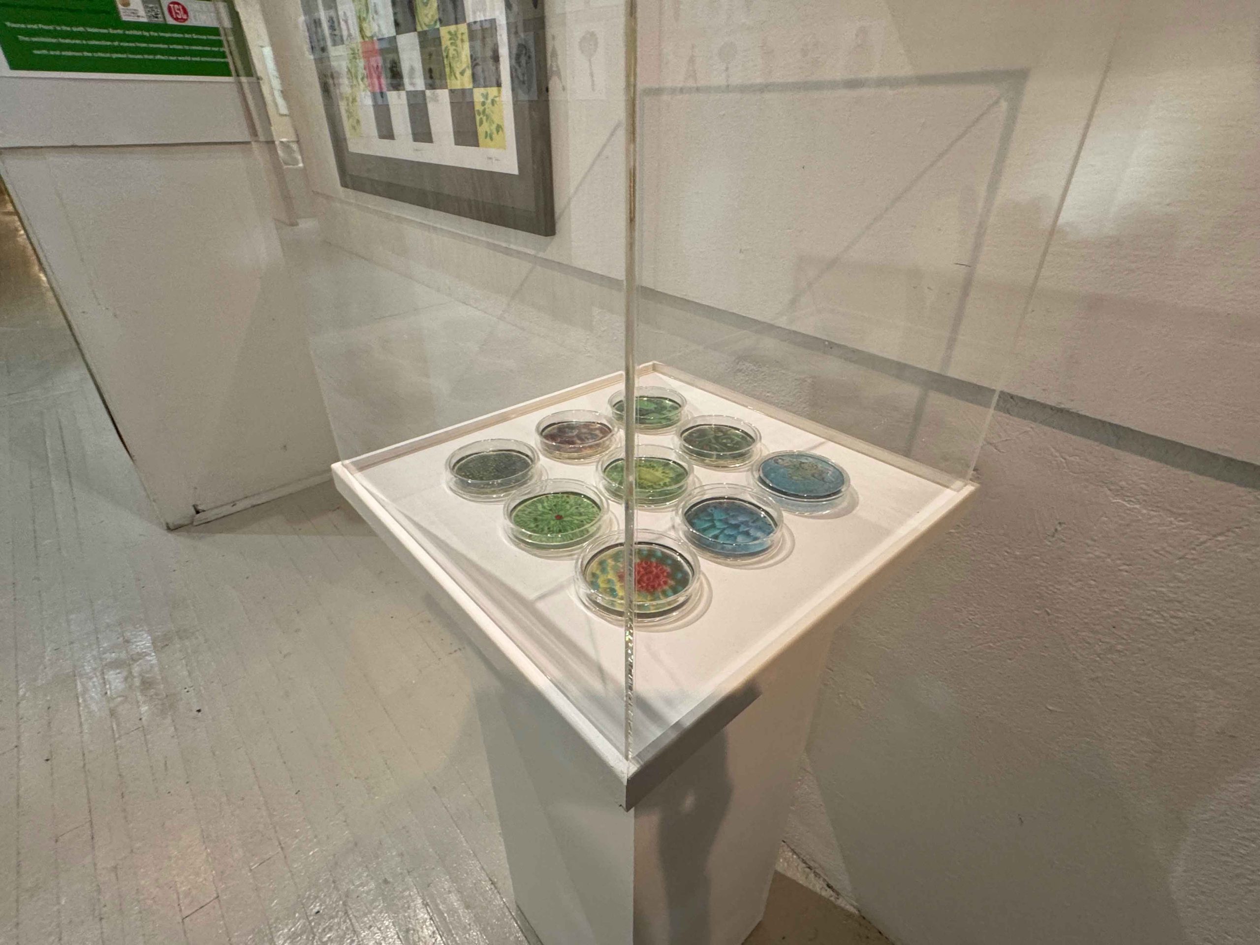 2GardeningInTheAnthropocene-Installed