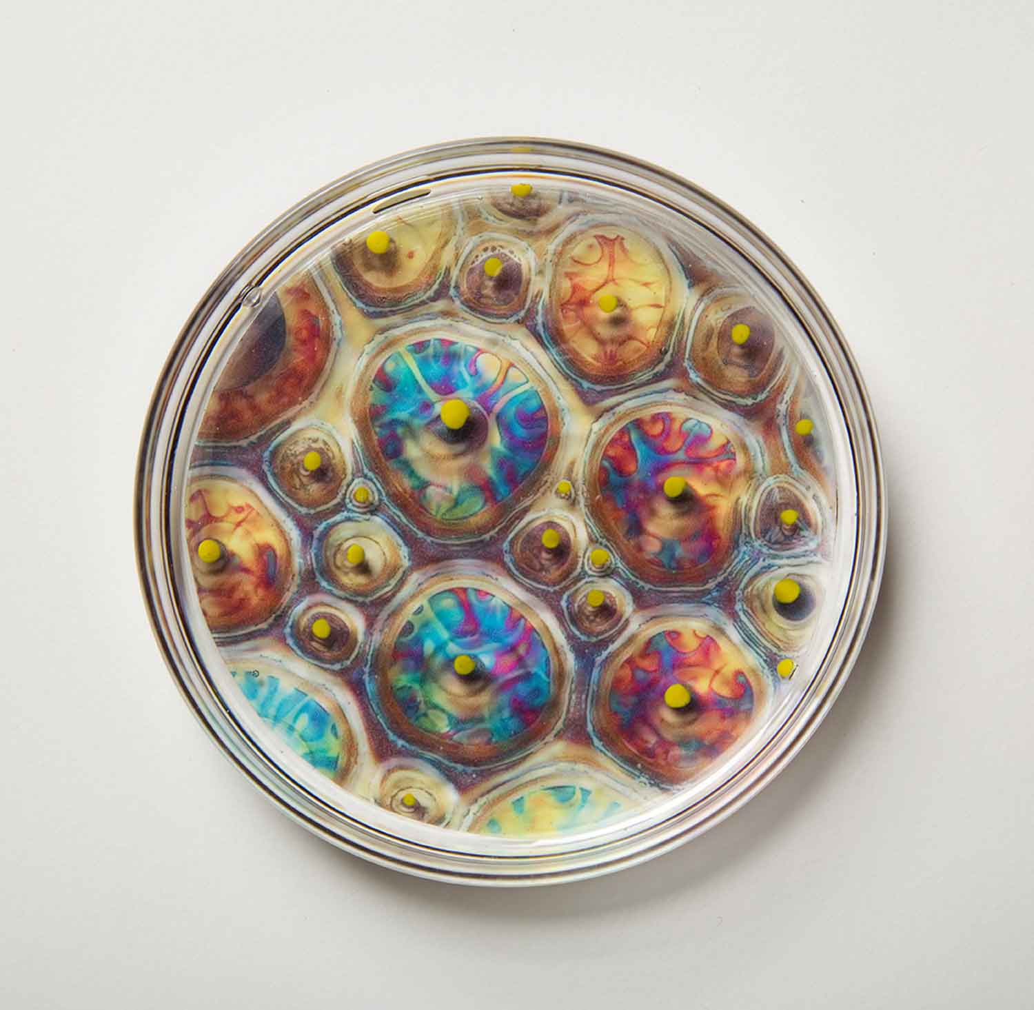 3GardeningInTheAnthropocene_Detail